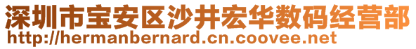 深圳市寶安區(qū)沙井宏華數(shù)碼經(jīng)營(yíng)部