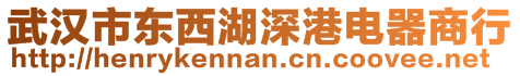 武漢市東西湖深港電器商行