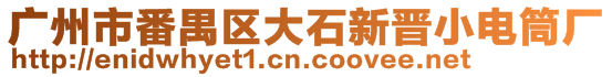 廣州市番禺區(qū)大石新晉小電筒廠