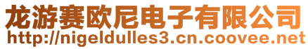 龍游賽歐尼電子有限公司