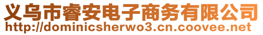 義烏市睿安電子商務(wù)有限公司