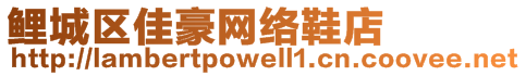 鯉城區(qū)佳豪網(wǎng)絡(luò)鞋店