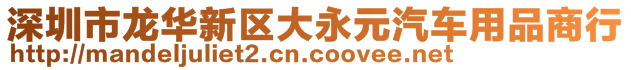 深圳市龍華新區(qū)大永元汽車用品商行