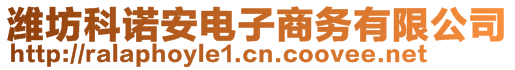 濰坊科諾安電子商務(wù)有限公司