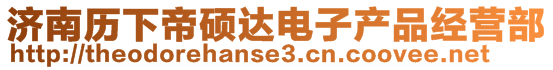 濟(jì)南歷下帝碩達(dá)電子產(chǎn)品經(jīng)營部