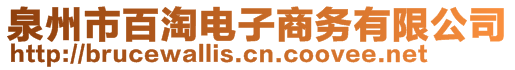 泉州市百淘電子商務(wù)有限公司