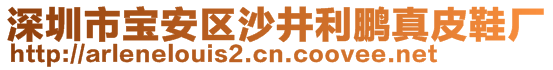 深圳市寶安區(qū)沙井利鵬真皮鞋廠