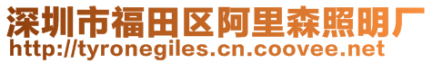 深圳市福田區(qū)阿里森照明廠