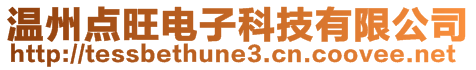 溫州點旺電子科技有限公司