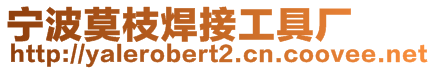 寧波莫枝焊接工具廠