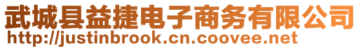 武城縣益捷電子商務有限公司