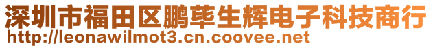 深圳市福田區(qū)鵬蓽生輝電子科技商行