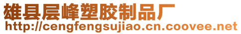 雄縣層峰塑膠制品廠