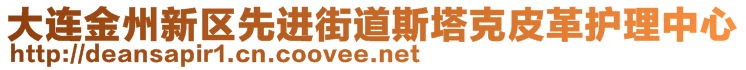 大連金州新區(qū)先進(jìn)街道斯塔克皮革護(hù)理中心