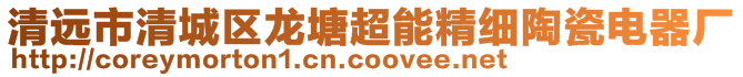 清遠市清城區(qū)龍?zhí)脸芫毺沾呻娖鲝S