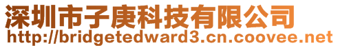 深圳市子庚科技有限公司