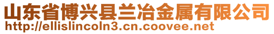 山東省博興縣蘭冶金屬有限公司