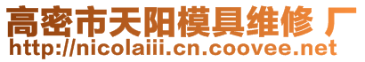 高密市天陽(yáng)模具維修 廠