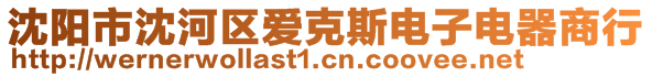 沈阳市沈河区爱克斯电子电器商行