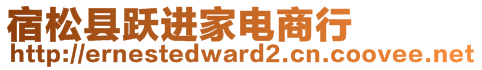 宿松縣躍進(jìn)家電商行