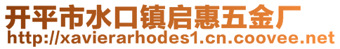 開平市水口鎮(zhèn)啟惠五金廠