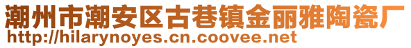 潮州市潮安區(qū)古巷鎮(zhèn)金麗雅陶瓷廠