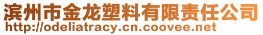 濱州市金龍塑料有限責(zé)任公司