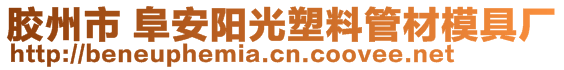 胶州市 阜安阳光塑料管材模具厂