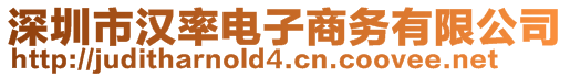 深圳市漢率電子商務有限公司