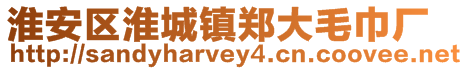 淮安區(qū)淮城鎮(zhèn)鄭大毛巾廠