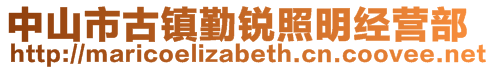 中山市古鎮(zhèn)勤銳照明經(jīng)營部