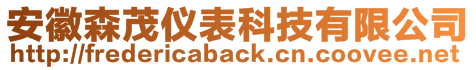 安徽森茂儀表科技有限公司