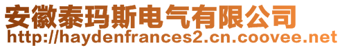 安徽泰瑪斯電氣有限公司