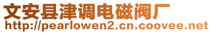 文安縣津調(diào)電磁閥廠