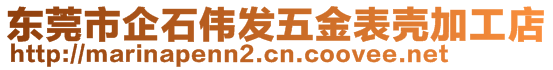 东莞市企石伟发五金表壳加工店