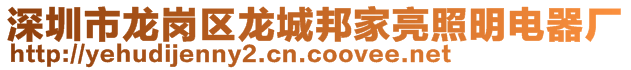 深圳市龙岗区龙城邦家亮照明电器厂