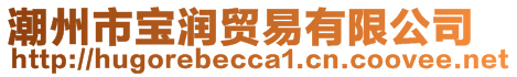 潮州市寶潤(rùn)貿(mào)易有限公司