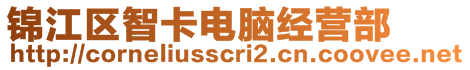 錦江區(qū)智卡電腦經(jīng)營部