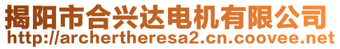 揭陽市合興達(dá)電機(jī)有限公司