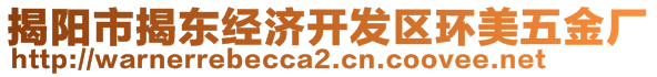 揭陽市揭東經(jīng)濟(jì)開發(fā)區(qū)環(huán)美五金廠