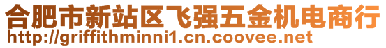 合肥市新站區(qū)飛強(qiáng)五金機(jī)電商行