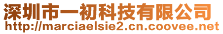 深圳市一初科技有限公司