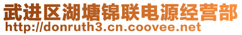 武进区湖塘锦联电源经营部