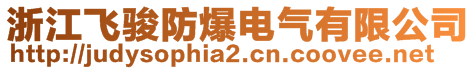 浙江飛駿防爆電氣有限公司