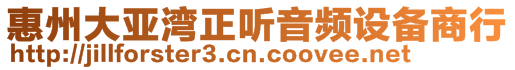 惠州大亞灣正聽音頻設備商行