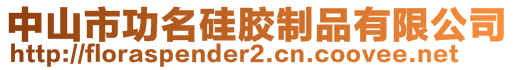 中山市功名硅膠制品有限公司