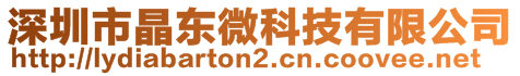 深圳市晶東微科技有限公司