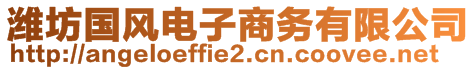 濰坊國風(fēng)電子商務(wù)有限公司