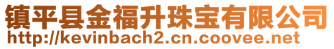 鎮(zhèn)平縣金福升珠寶有限公司