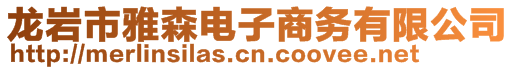 龍巖市雅森電子商務(wù)有限公司